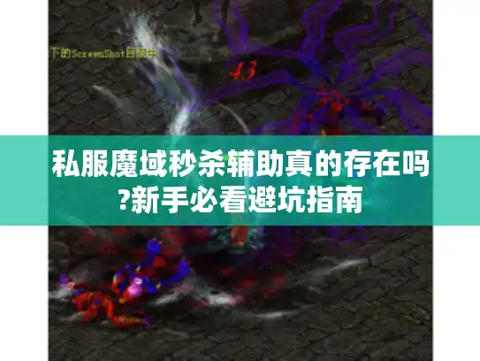 私服魔域秒杀辅助真的存在吗?新手必看避坑指南