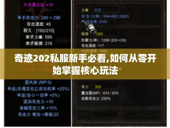 奇迹202私服新手必看,如何从零开始掌握核心玩法