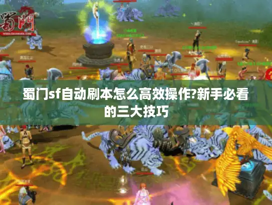 蜀门sf自动刷本怎么高效操作?新手必看的三大技巧