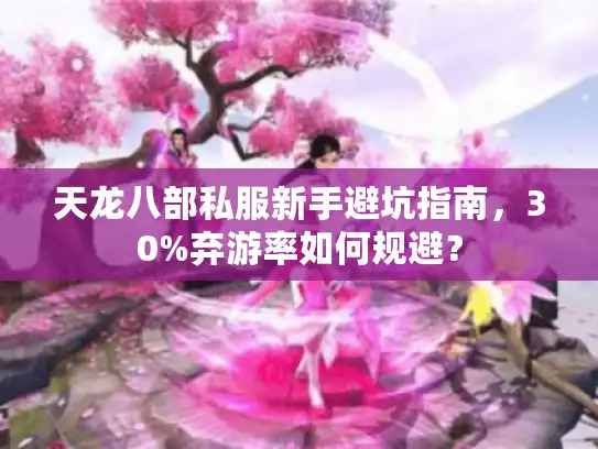 天龙八部私服新手避坑指南，30%弃游率如何规避？