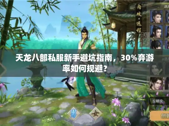 天龙八部私服新手避坑指南，30%弃游率如何规避？