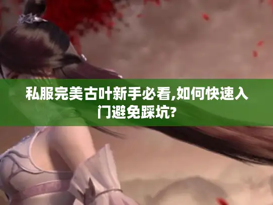 私服完美古叶新手必看,如何快速入门避免踩坑? 私服完美古叶新手必看,如何快速入门避免踩坑?