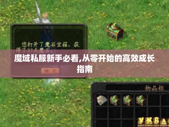 魔域私服新手必看,从零开始的高效成长指南