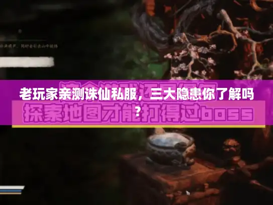 老玩家亲测诛仙私服，三大隐患你了解吗？