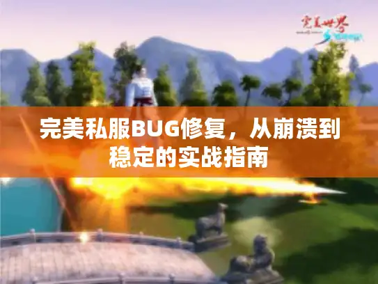 完美私服BUG修复,从崩溃到稳定的实战指南 完美私服BUG修复,从崩溃到稳定的实战指南