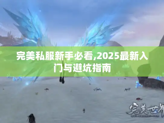 完美私服新手必看,2025最新入门与避坑指南