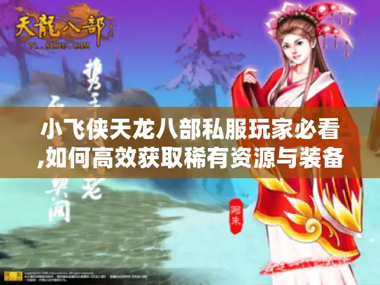 小飞侠天龙八部私服玩家必看,如何高效获取稀有资源与装备