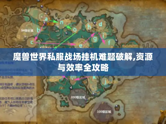 魔兽世界私服战场挂机难题破解,资源与效率全攻略