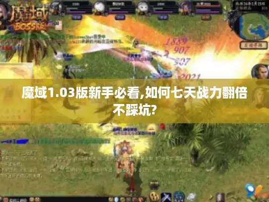 魔域1.03版新手必看,如何七天战力翻倍不踩坑? 魔域1.03版新手必看,如何七天战力翻倍不踩坑?