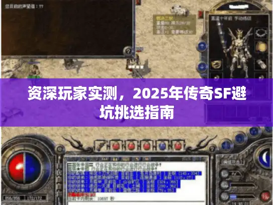 资深玩家实测，2025年传奇SF避坑挑选指南