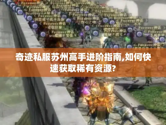 奇迹私服苏州高手进阶指南,如何快速获取稀有资源?