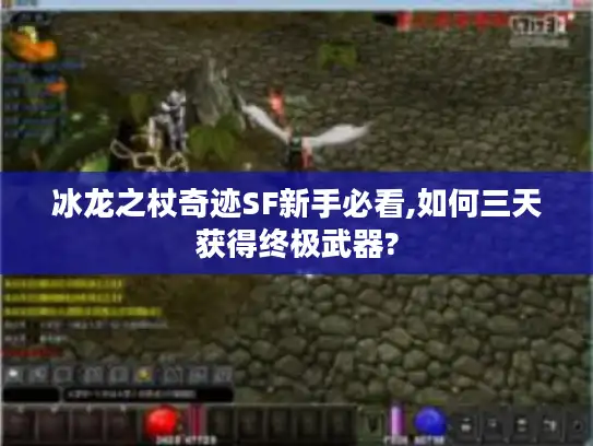 冰龙之杖奇迹SF新手必看,如何三天获得终极武器?