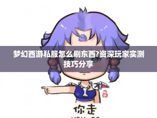梦幻西游私服怎么刷东西?资深玩家实测技巧分享
