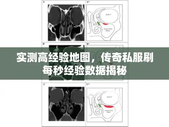 实测高经验地图，传奇私服刷每秒经验数据揭秘