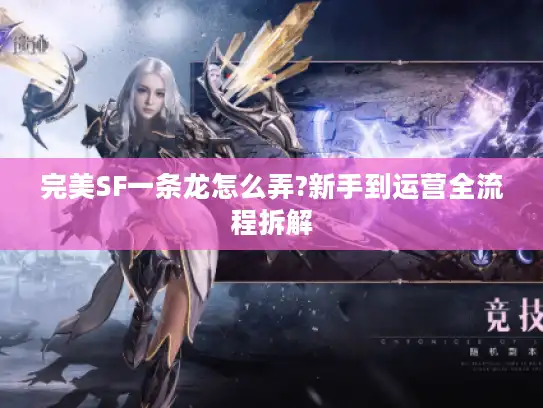 完美SF一条龙怎么弄?新手到运营全流程拆解