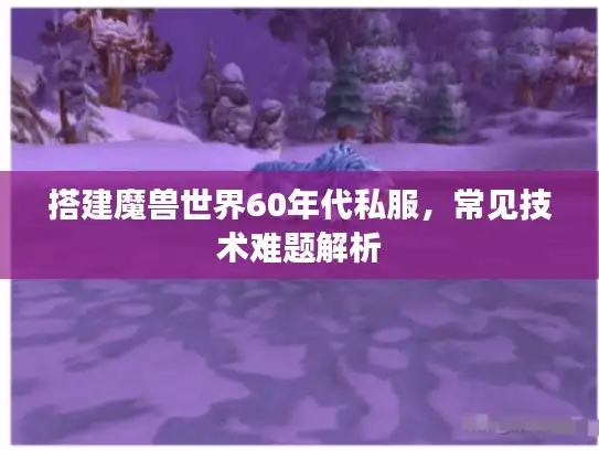 搭建魔兽世界60年代私服，常见技术难题解析