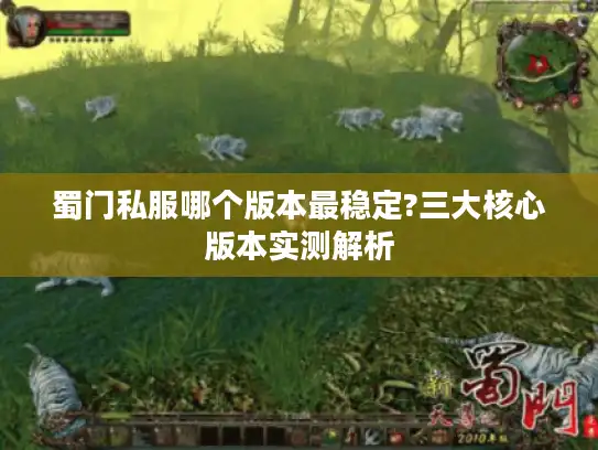 蜀门私服哪个版本最稳定?三大核心版本实测解析 蜀门私服哪个版本最稳定?三大核心版本实测解析