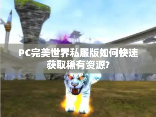 PC完美世界私服版如何快速获取稀有资源?