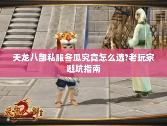 天龙八部私服冬瓜究竟怎么选?老玩家避坑指南