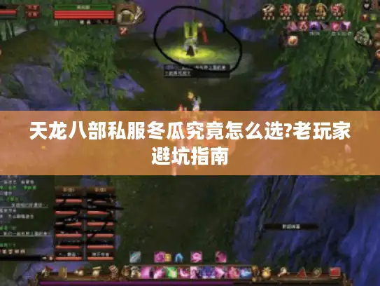 天龙八部私服冬瓜究竟怎么选?老玩家避坑指南