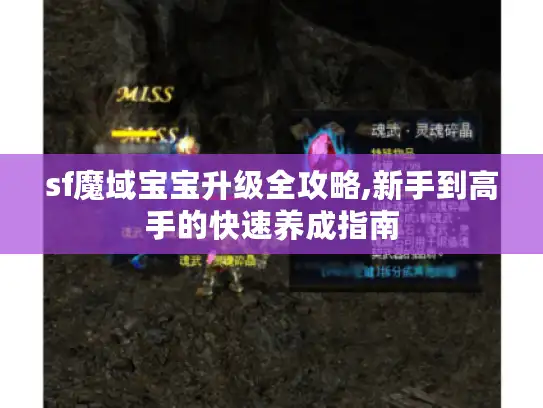 sf魔域宝宝升级全攻略,新手到高手的快速养成指南 sf魔域宝宝升级全攻略,新手到高手的快速养成指南