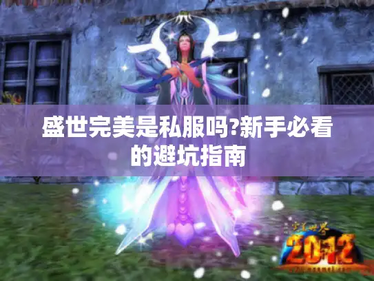 盛世完美是私服吗?新手必看的避坑指南
