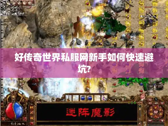 好传奇世界私服网新手如何快速避坑?