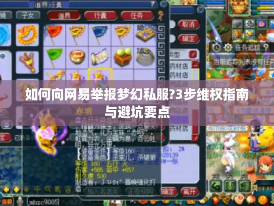 如何向网易举报梦幻私服?3步维权指南与避坑要点