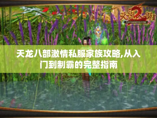天龙八部激情私服家族攻略,从入门到制霸的完整指南