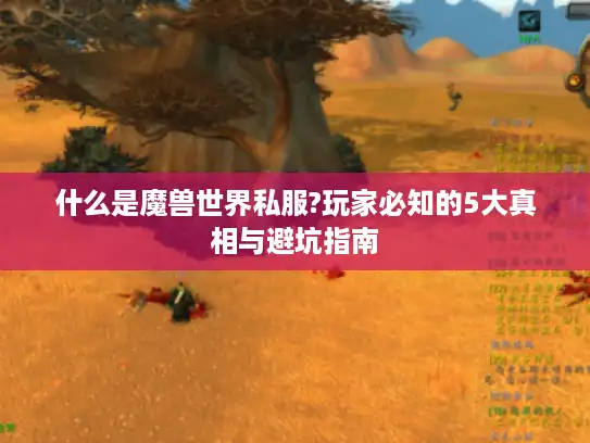 什么是魔兽世界私服?玩家必知的5大真相与避坑指南 什么是魔兽世界私服?玩家必知的5大真相与避坑指南