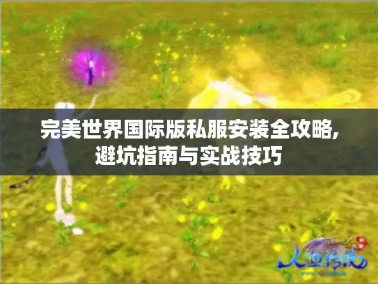 完美世界国际版私服安装全攻略,避坑指南与实战技巧