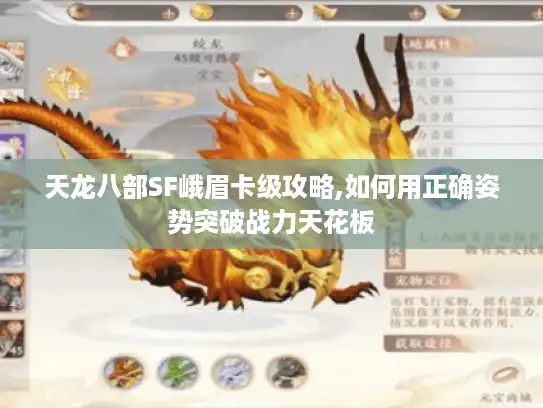 天龙八部SF峨眉卡级攻略,如何用正确姿势突破战力天花板