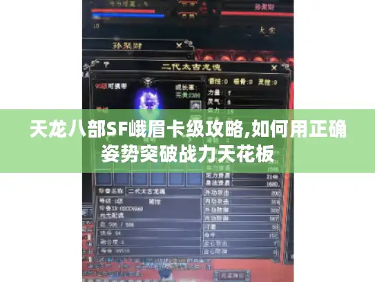 天龙八部SF峨眉卡级攻略,如何用正确姿势突破战力天花板