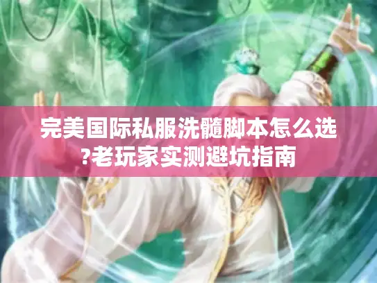 完美国际私服洗髓脚本怎么选?老玩家实测避坑指南
