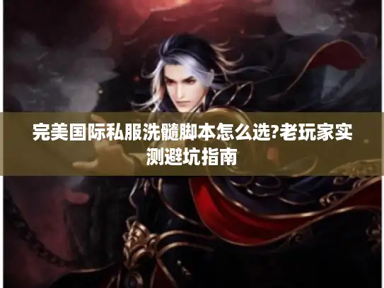 完美国际私服洗髓脚本怎么选?老玩家实测避坑指南