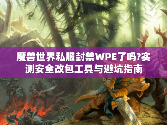 魔兽世界私服封禁WPE了吗?实测安全改包工具与避坑指南