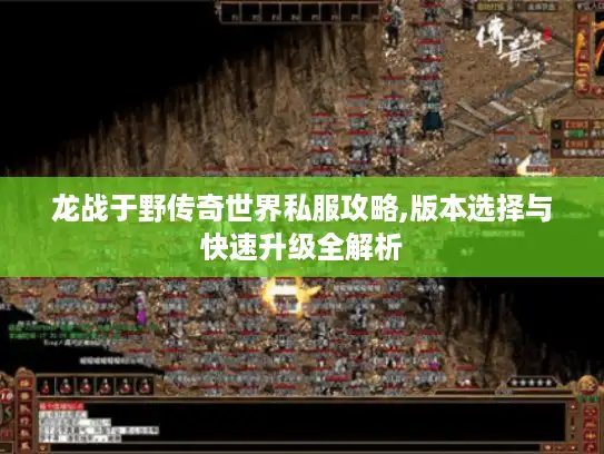 龙战于野传奇世界私服攻略,版本选择与快速升级全解析
