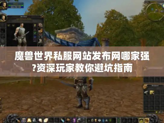 魔兽世界私服网站发布网哪家强?资深玩家教你避坑指南