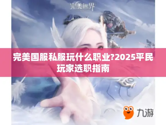 完美国服私服玩什么职业?2025平民玩家选职指南