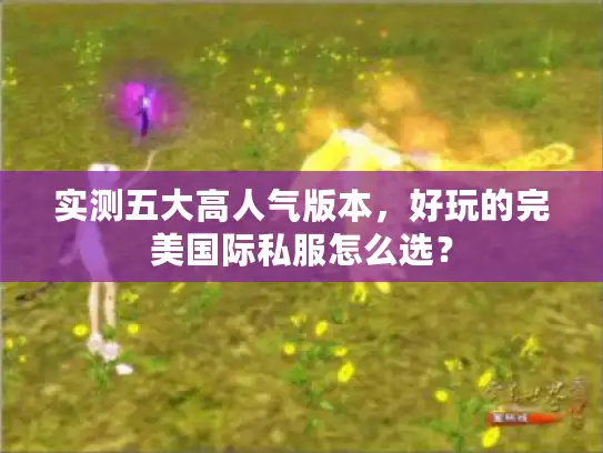 实测五大高人气版本，好玩的完美国际私服怎么选？
