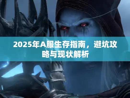 2025年A服生存指南，避坑攻略与现状解析