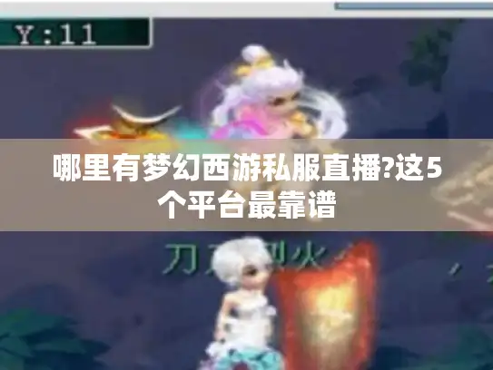 哪里有梦幻西游私服直播?这5个平台最靠谱