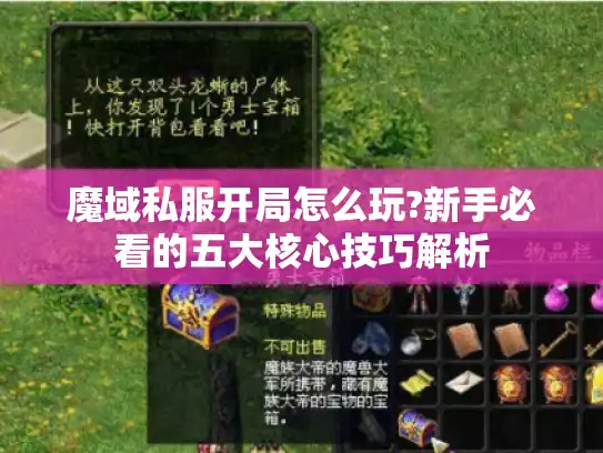 魔域私服开局怎么玩?新手必看的五大核心技巧解析