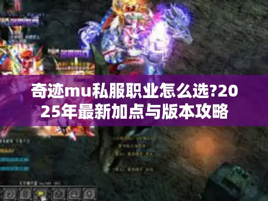 奇迹mu私服职业怎么选?2025年最新加点与版本攻略