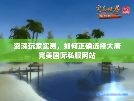 资深玩家实测，如何正确选择大唐完美国际私服网站