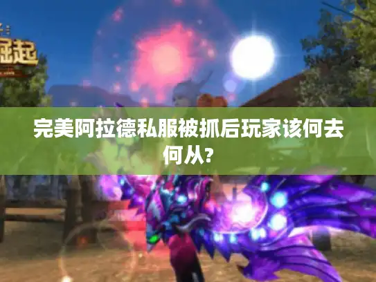 完美阿拉德私服被抓后玩家该何去何从?
