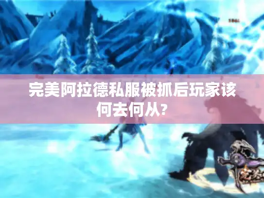 完美阿拉德私服被抓后玩家该何去何从?