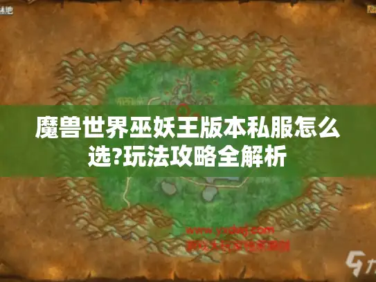 魔兽世界巫妖王版本私服怎么选?玩法攻略全解析