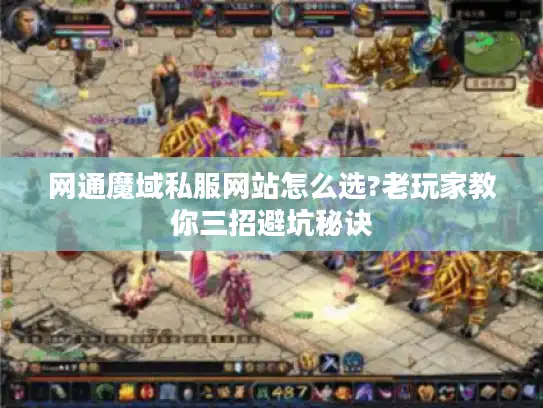 网通魔域私服网站怎么选?老玩家教你三招避坑秘诀
