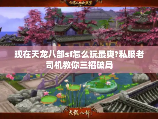 现在天龙八部sf怎么玩最爽?私服老司机教你三招破局 现在天龙八部sf怎么玩最爽?私服老司机教你三招破局